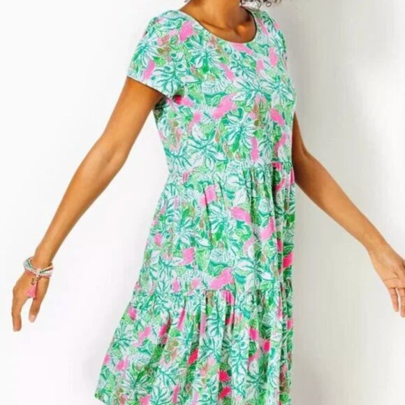 Lilly Pulitzer Dress - Picture 1 of 1